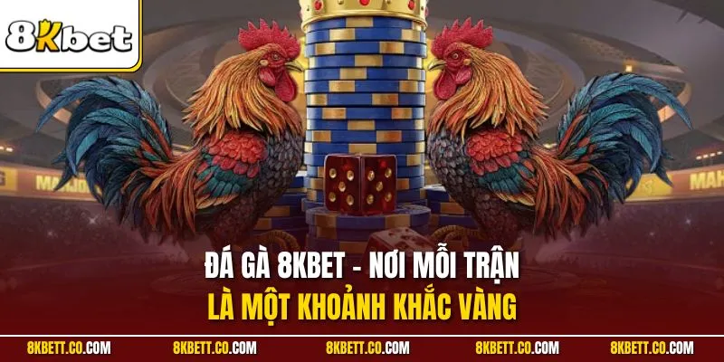 Đá gà 8KBET