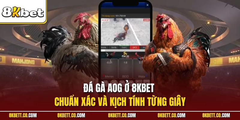 Đá gà AOG