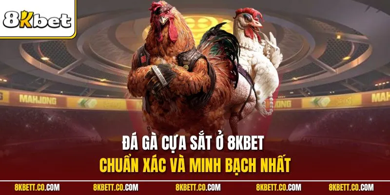 Đá gà cựa sắt