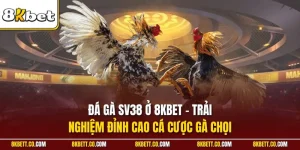 Đá gà SV38