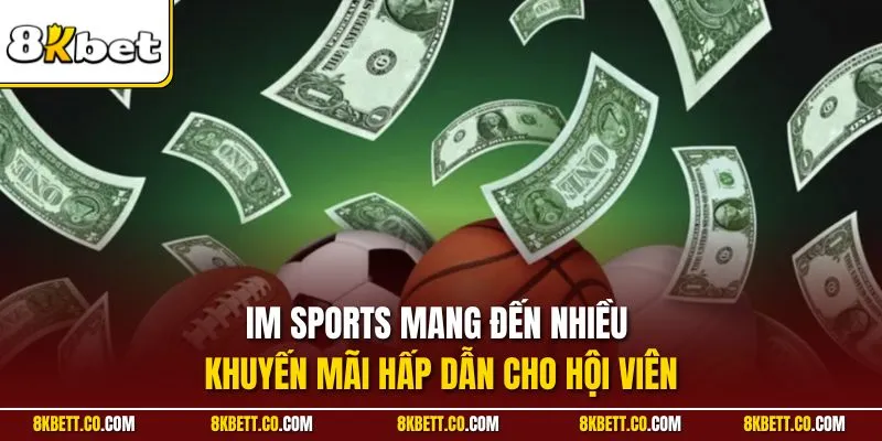 IM Sports mang đến nhiều khuyến mãi hấp dẫn cho hội viên
