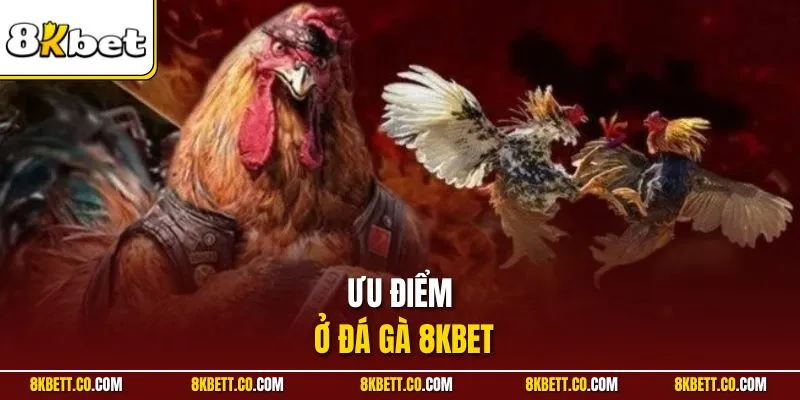 Ưu điểm ở đá gà 8KBET